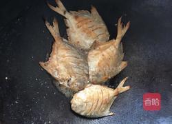 煎焖小鲳鱼的做法图解6