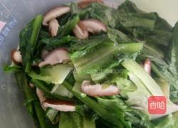油麦菜炒香菇的做法图解4