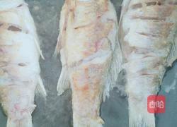 白洋淀铁锅炖鱼的做法图解3