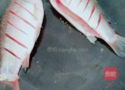 野生鲫鱼汤的做法图解2