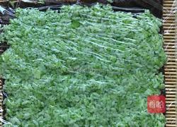 金枪鱼蔬菜包饭的做法图解4