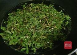 凉拌马齿苋的做法图解2