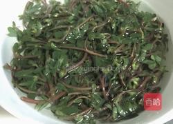 凉拌马齿苋的做法图解3
