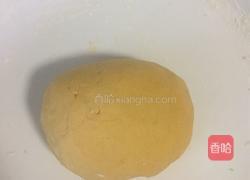 秋花香果包的做法图解3