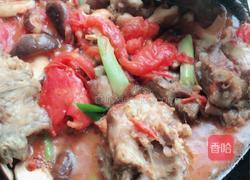 排骨番茄香菇汤的做法图解11