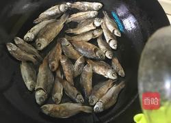红烧野生小鲫鱼干的做法图解4