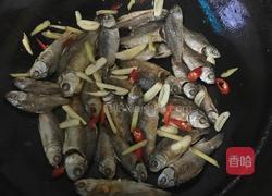 红烧野生小鲫鱼干的做法图解5