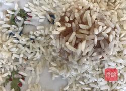 糯米团子的做法图解10