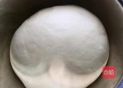 普通面粉版北海道吐司（包括10分钟剪出手套膜）的做法图解15