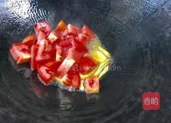 番茄冬瓜冬瓜含有较多的蛋白质、糖类及少量的做法图解4