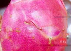 火龙果烩虾仁的做法图解3