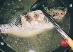 鲜菇鱼汤的做法图解8