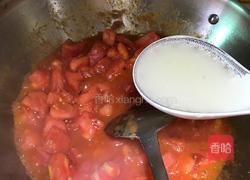 蕃茄鱼的做法图解8