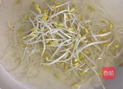 粉皮鲢鱼头汤的做法图解6