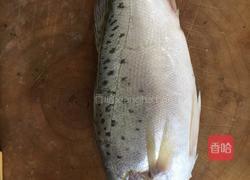 煎焖鲈鱼的做法图解2