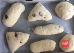 朗姆酒蔓越莓软欧的做法图解6