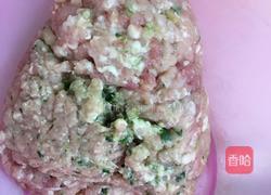 肉圆的做法图解1