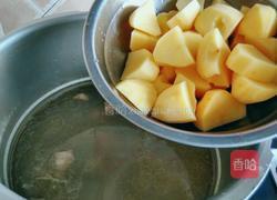 清炖牛腩的做法图解14