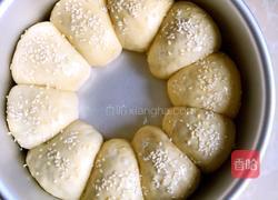 海苔肉松面包的做法图解18