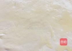 葱花火腿花卷的做法图解6
