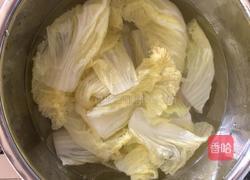 白菜两吃的做法图解4
