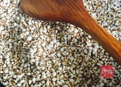 炒薏米的做法图解5