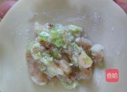 香菇猪肉白菜饺子的做法图解8