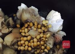 胡萝卜红枣猪蹄汤的做法图解7