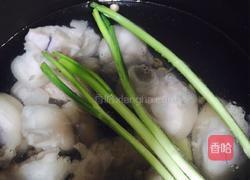 胡萝卜红枣猪蹄汤的做法图解9