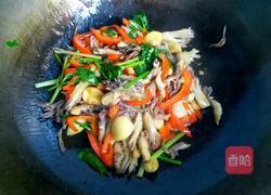炒野生刷把菌的做法图解10