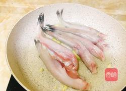 红烧虾孱的做法图解3