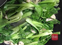 蘑菇炒青菜的做法图解5