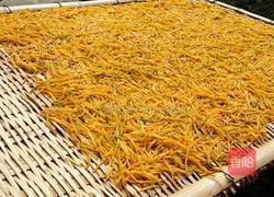 南瓜丝榨广椒的做法图解7