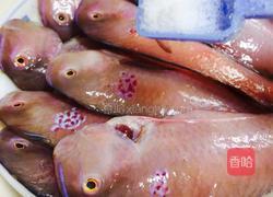 干煎马头鱼的做法图解2