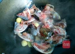 猪骨鱼头冬瓜汤的做法图解7