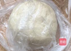 鲜肉月饼（肉番烧）的做法图解2