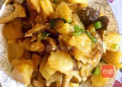 蘑菇炖土豆的做法图解4