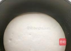 胡萝卜肉包的做法图解4