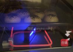 餡料傳統月饼的做法图解8