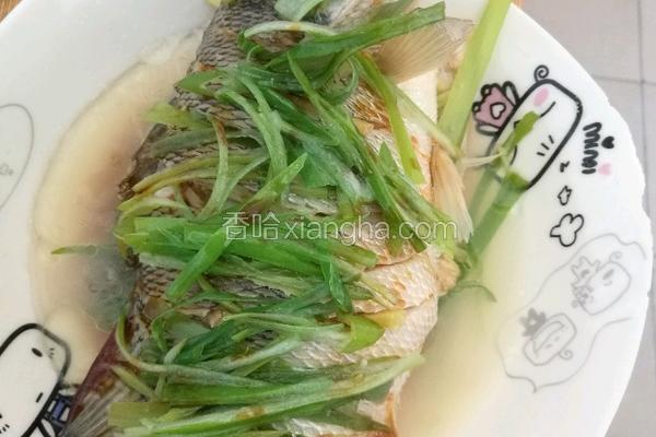 清蒸鲈鱼