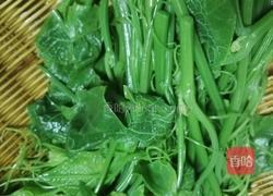 凉拌南瓜藤的做法图解5