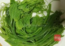 凉拌南瓜藤的做法图解11