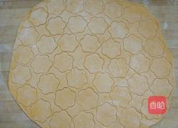 白菜蝴蝶面的做法图解4