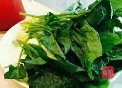 绿色菠菜面的做法图解1