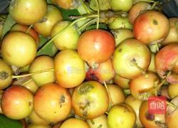 海棠罐头的做法图解2