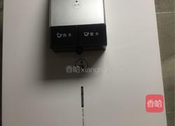 柚子薄荷饮的做法图解4