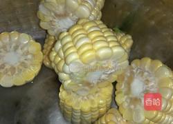 清炖乌鸡火锅的做法图解8