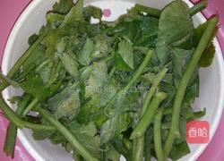 沾水南瓜尖的做法图解3