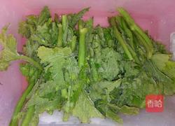 沾水南瓜尖的做法图解4