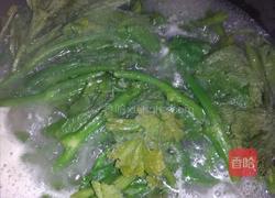 沾水南瓜尖的做法图解7